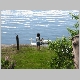 XLSwans_Spring 2005_08.JPG